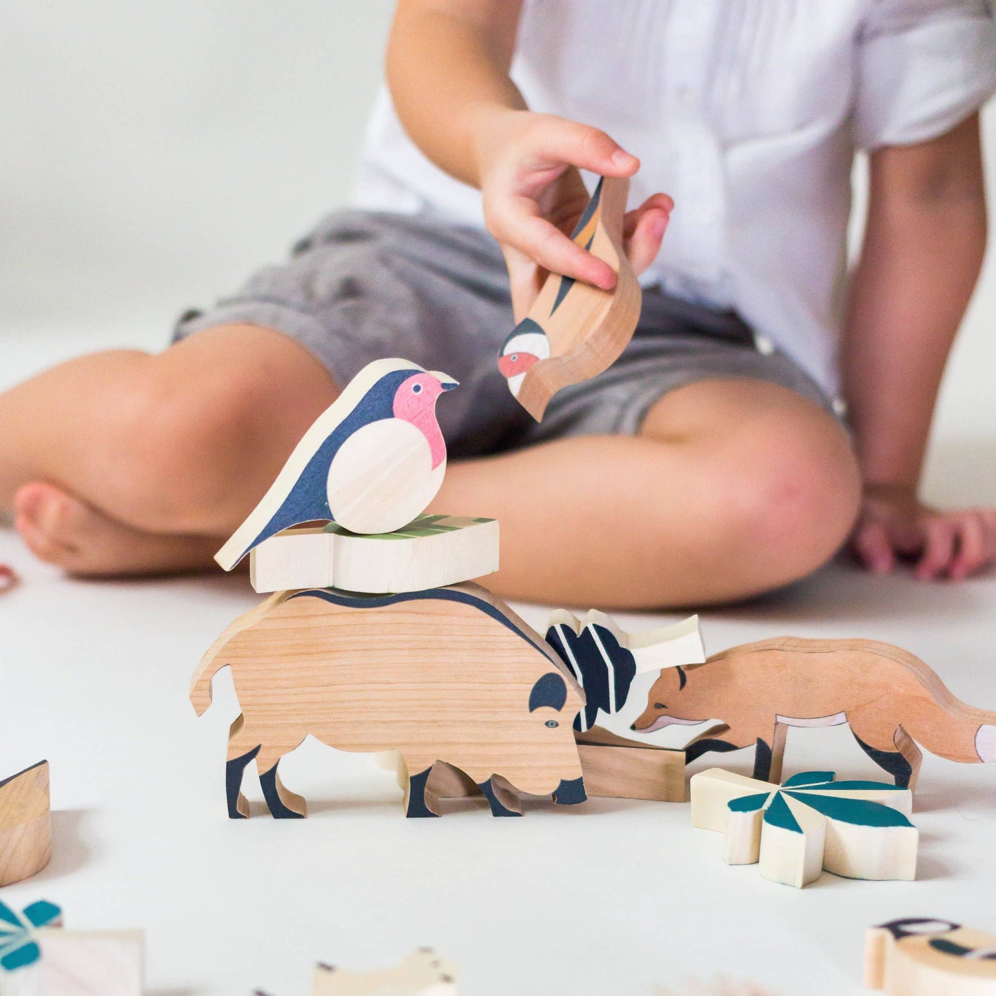 The Hillside Forest Set