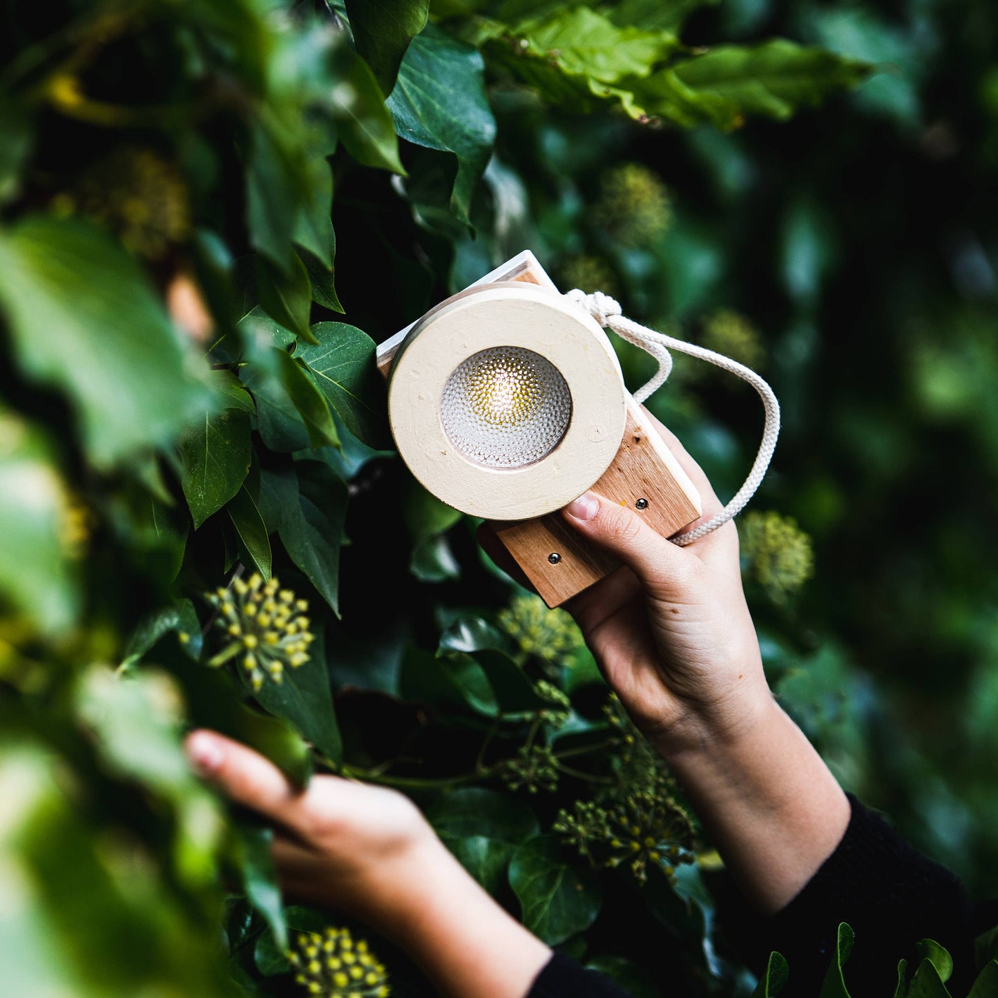 Play at Night - Flashlight Natural