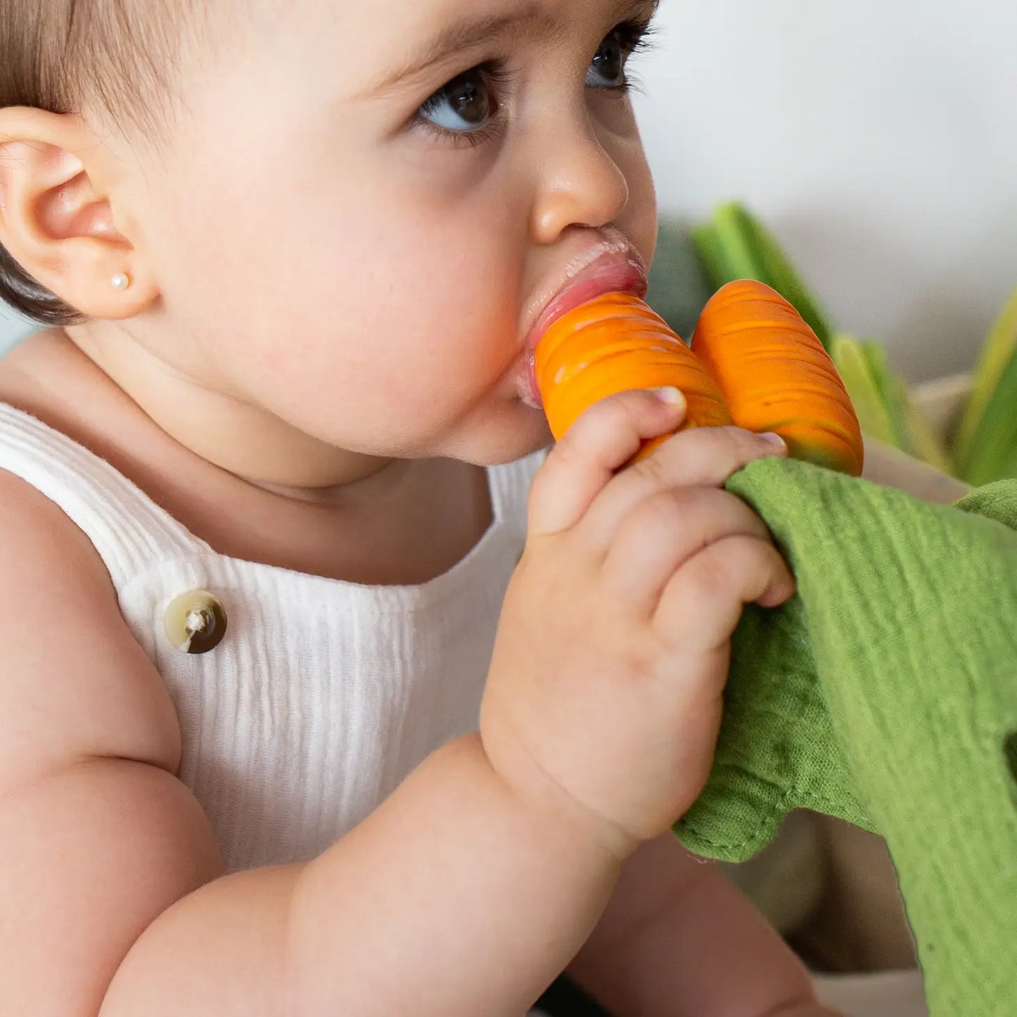 Cathy the Carrot DouDou Teether